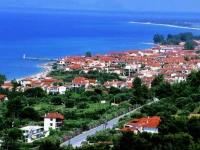 Ammon Garden 3*