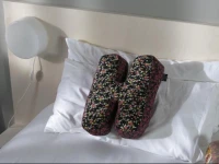 Hotel Big Mama 