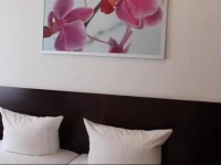 Hotel Novalis 