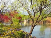 Changxin(GushanTeayuan) Farm Stay 