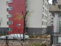 Xiaocheng Guesthouse Century City