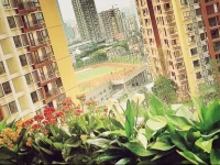 New Dream Apartment 