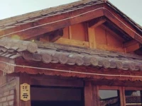 Spring Rabbit Hostel 