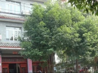 Yile Mingju Inn 