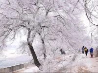 Jilin Wusong Island Xingxing Inn 