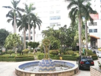 Home of Coconut Haikou Baohua Sea View 