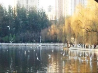 Kunming Guyu Inn 