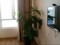 58 Short Term Rental Apartment 