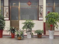 Rizhao Renjiatai Ocean Taste Farm Stay 