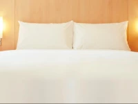 Ibis Shanghai Free Zone 