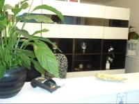 DГјsseldorfer Appartment 