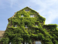 Hotel-Pension Am Ratshof