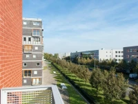 Arena Suite Apartment 