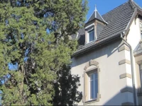 Appartement Colmar Centre Le 4 