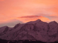 Le Chamois dOr