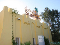 Golden Yasmin Sun Palm