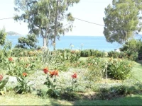 Nefi Guesthouse 