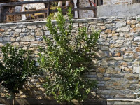 Villa Amanti