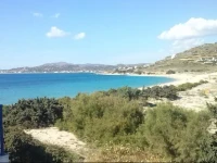 Isalos Studios 