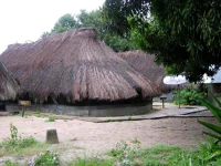 Yalimale 