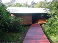 Amazone Nature 