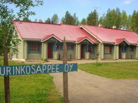 Aurinkosappee