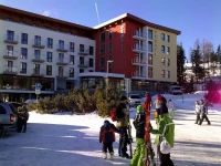 Crocus 4*