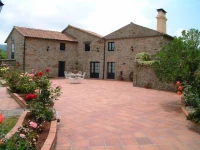 Os Miguelinos 