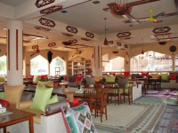1000 Nights Camp