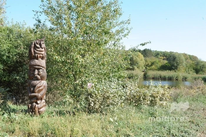 Древний лесной заповедник Молдовы привлекает всё больше посетителей