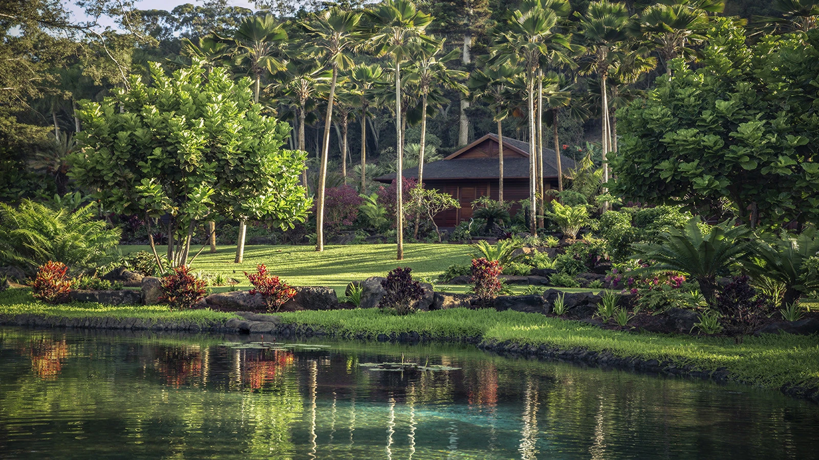Два мира на одном острове: программа Four Seasons Resorts Lanai