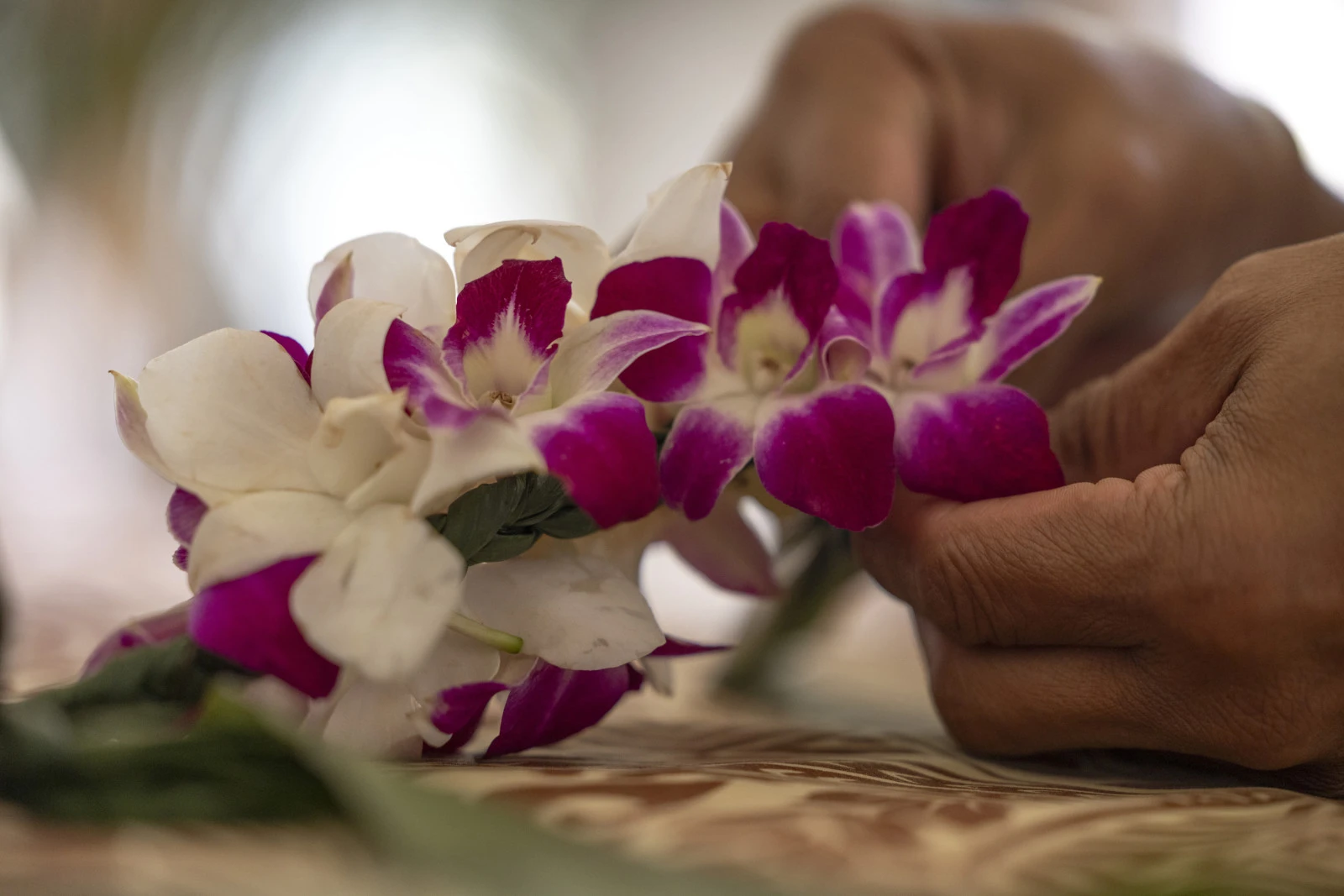 Два мира на одном острове: программа Four Seasons Resorts Lanai