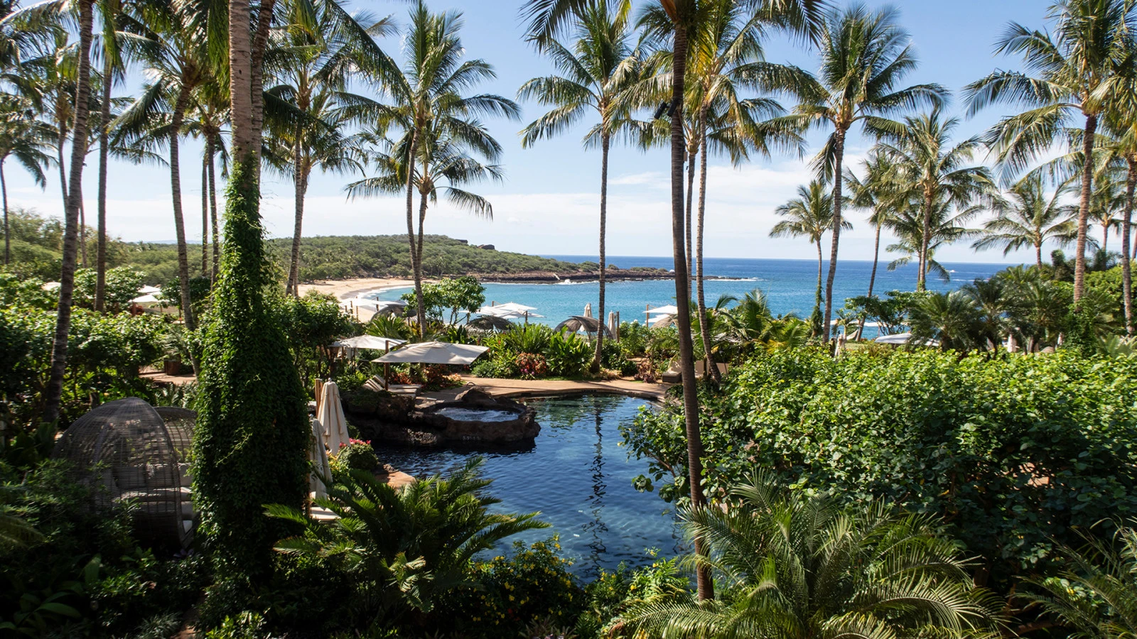 Два мира на одном острове: программа Four Seasons Resorts Lanai