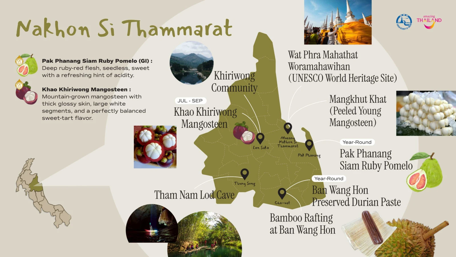 Юг Таиланда по сезонам: проект Southern MUST TASTE Thai Fruits