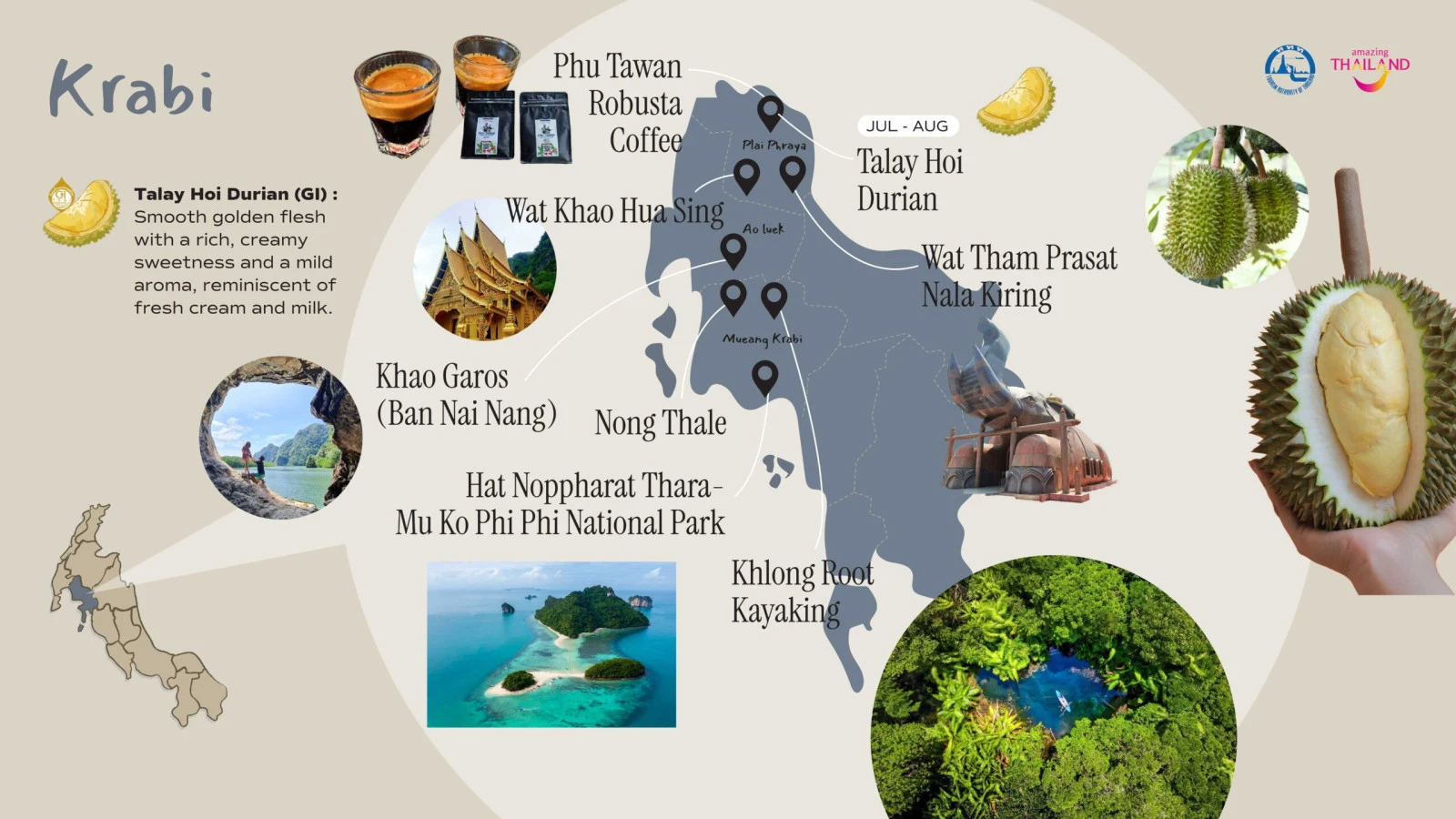 Юг Таиланда по сезонам: проект Southern MUST TASTE Thai Fruits