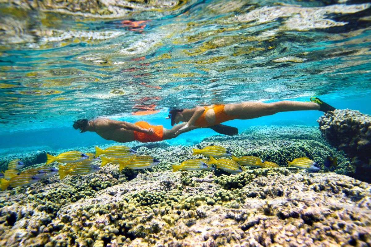 От берега к шортам: Le Méridien Maldives Resort & Spa и Patémar представляют экологичную курортную одежду на Мальдивах