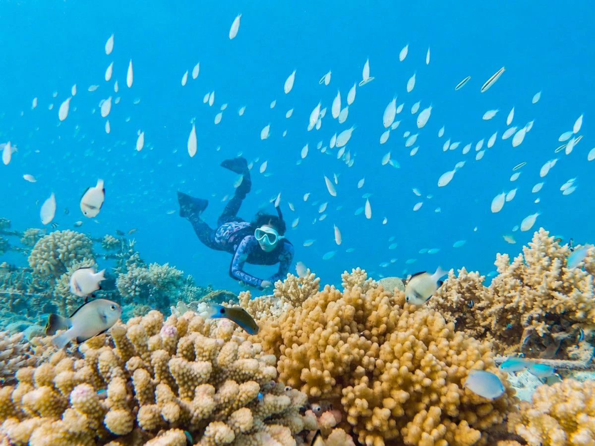 Grand Park Kodhipparu Maldives представляет программу «Celebrate More, Feel More» на последний квартал 2026 года