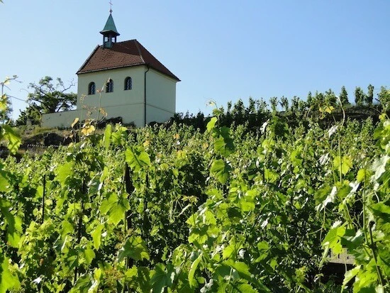 Из Праги в замок Мельник и виноградники Св. Клары