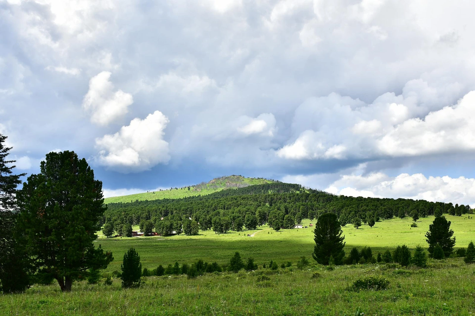 «Влюбись в Алтай за 5 дней» лето