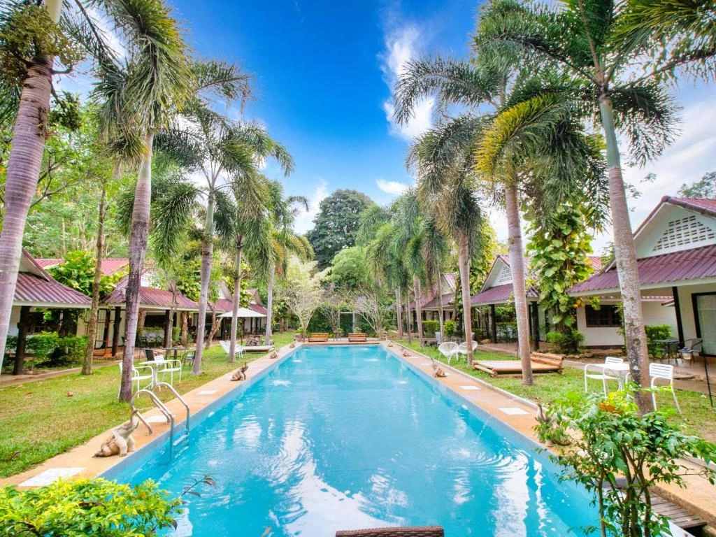 Йога-тур «Освобождение»