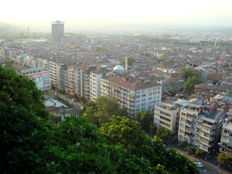 Бурса