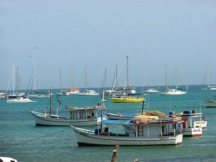 Маргарита