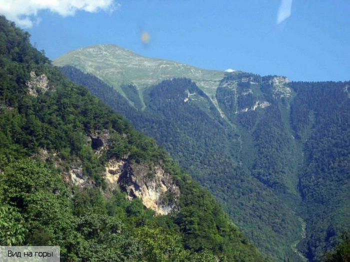 Гагра