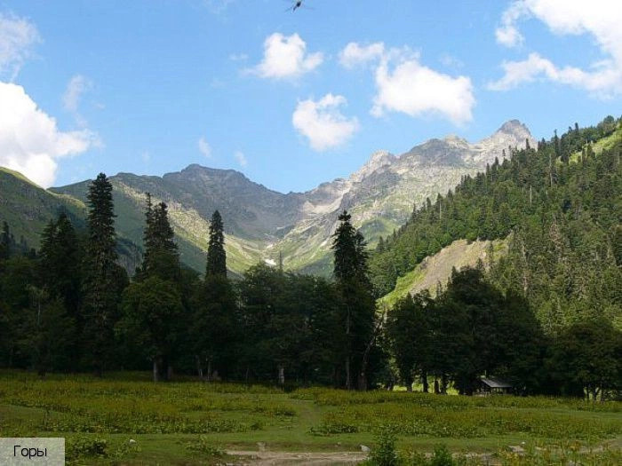 Гагра
