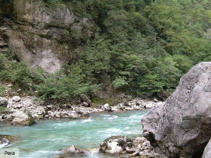 Гагра