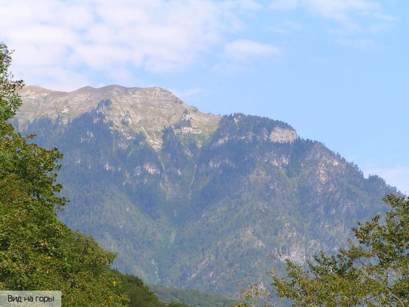 Гагра