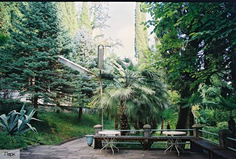 Гагра