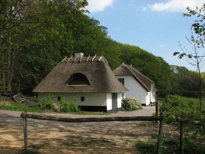 Фюн