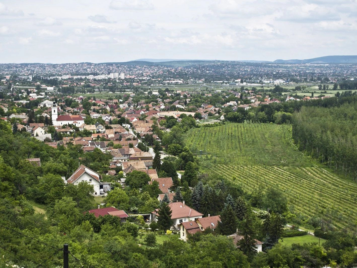 Центральная Венгрия