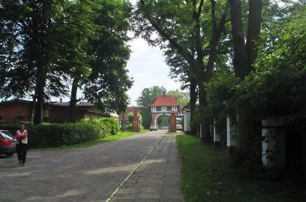 Кадыны